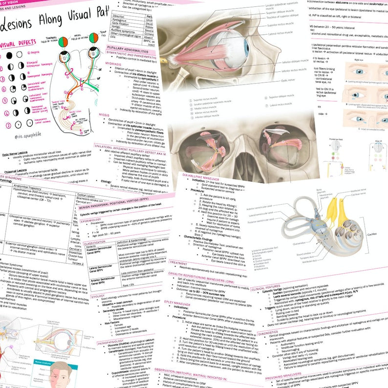 Neurology Complete Bundle