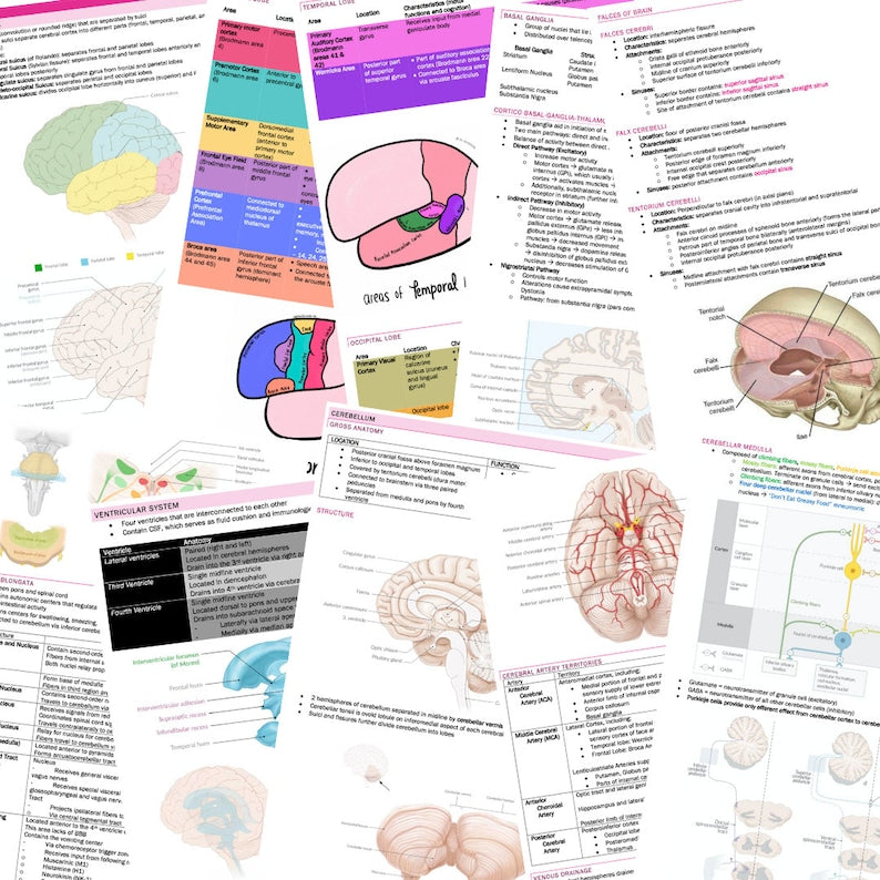 Neurology Complete Bundle