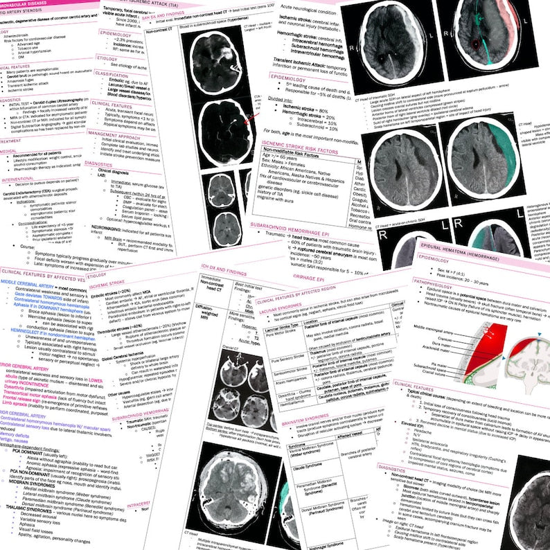 Neurology Complete Bundle