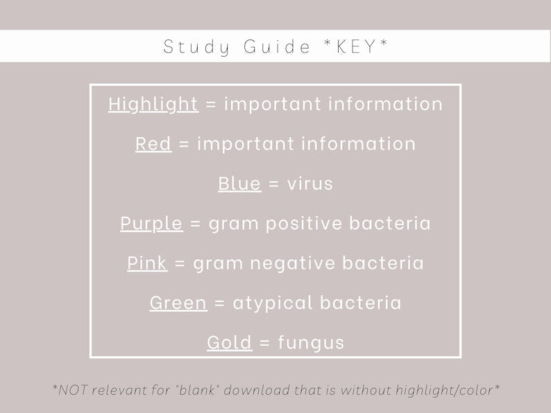 Med Student