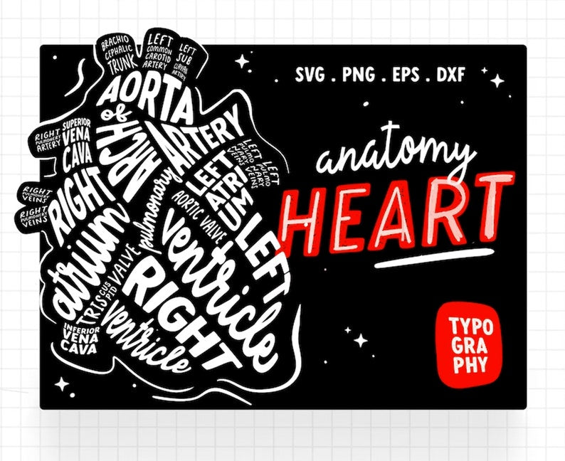 1000+ Medical Bundle, Goodnotes Sticker, Medical Flashcards, Digital Stickers, Anatomy Typography SVG, + 5 Ebooks